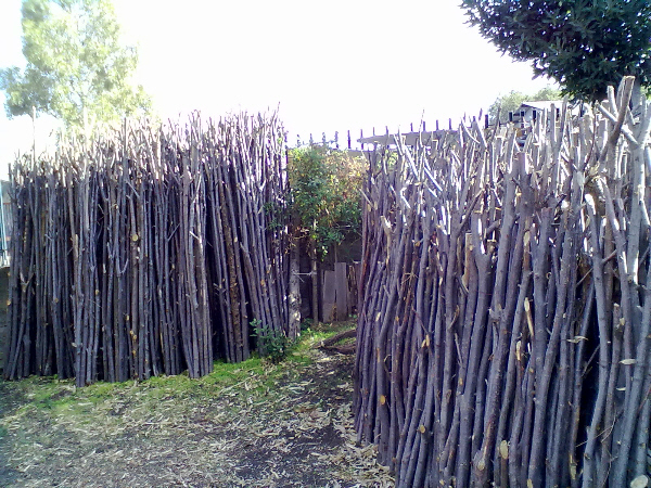 Forcine di castagno di varie misure 1
