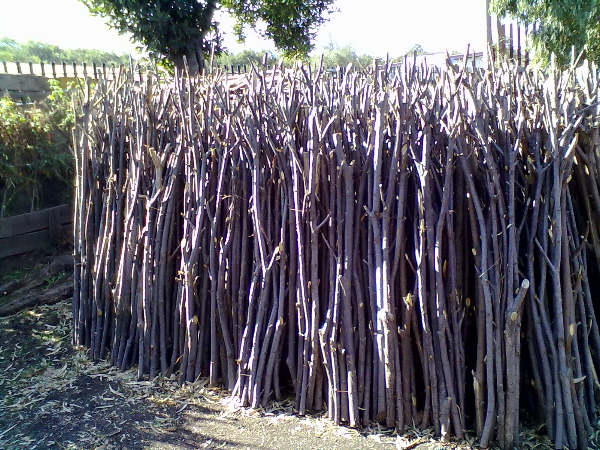 Forcine di castagno di varie misure 2